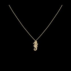 Necklace "Sea Horse".