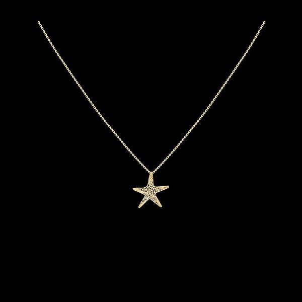 Necklace "Sea star".