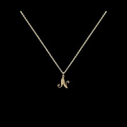 Necklace Letter N silver gold plated