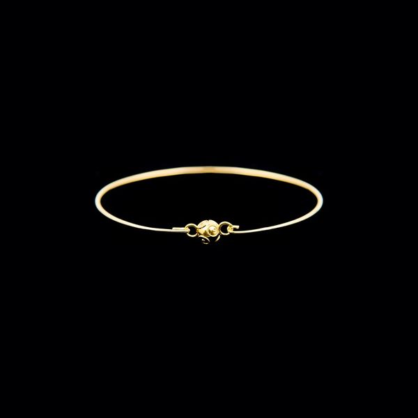 Bracelete Conta de Viana.