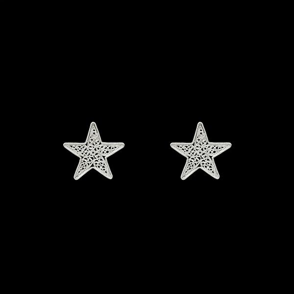 Star Earrings in Silver